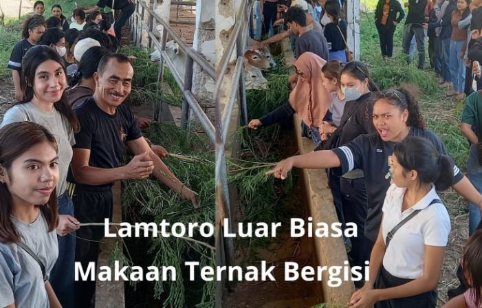 Laboratorium Peternakan Undana: Lumbung Ilmu dari Timur untuk Masa Depan Indonesia