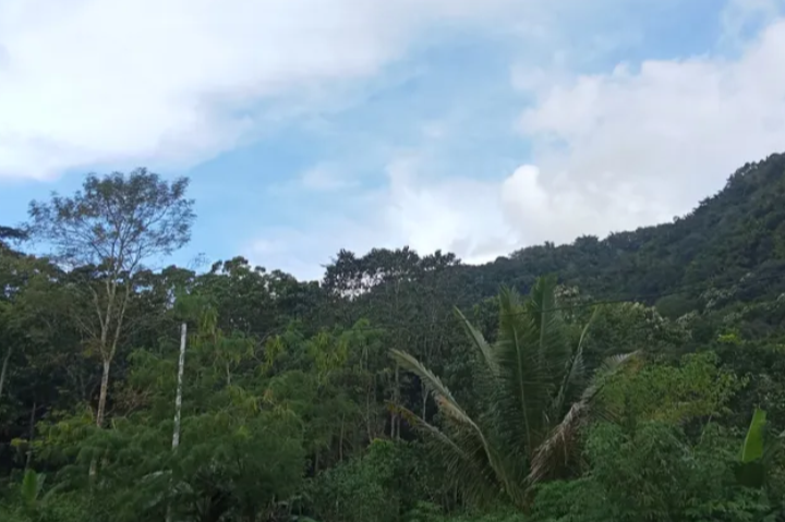 Cuaca Cerah Sepanjang Hari di NTT, Aktivitas Luar Ruangan Aman dan Nyaman