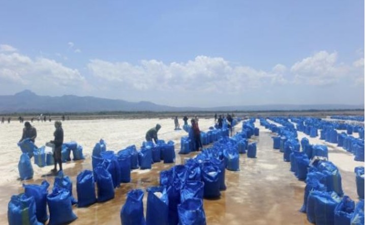 Tambak Garam NTT Bikin Petani Lokal Lega