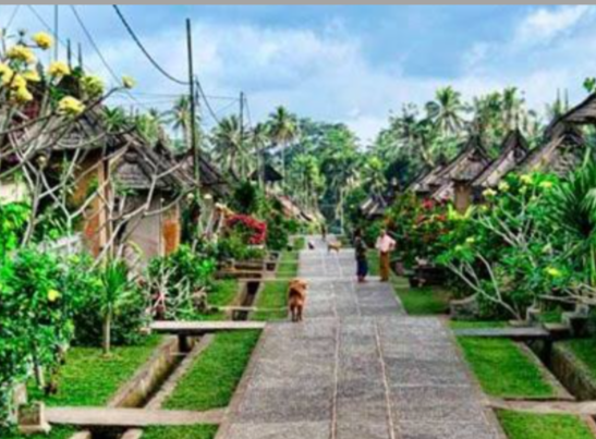 Menelusuri Keindahan Tersembunyi Desa Wisata Borani, NTT