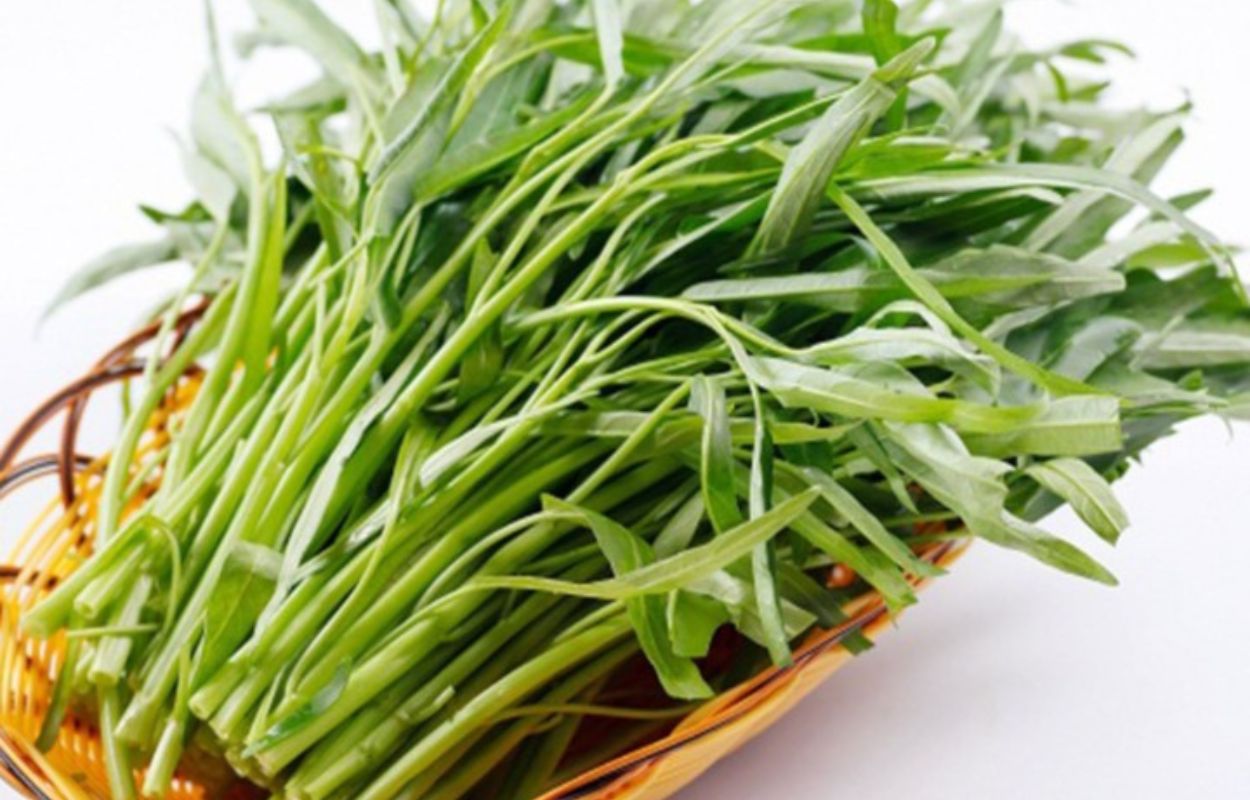 Manfaat Bergizi yang Tersembunyi di Batang Kangkung