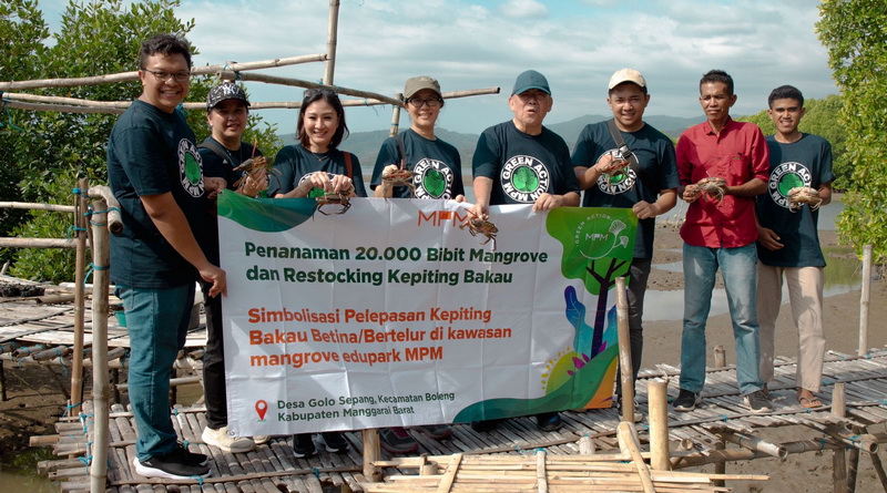 Budidaya Kepiting dan Mangrove, MPMX Dukung Pertumbuhan Ekonomi Pesisir NTT