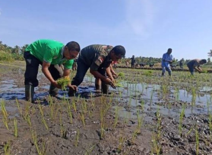 Dinas Pertanian Sikka Bangun Saluran Irigasi Dukung Swasembada Pangan