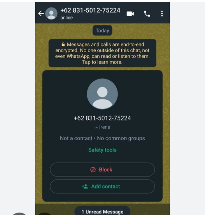 Hati-hati dengan Penipuan via Aplikasi WhatsApp, Kenali Beragam Modusnya