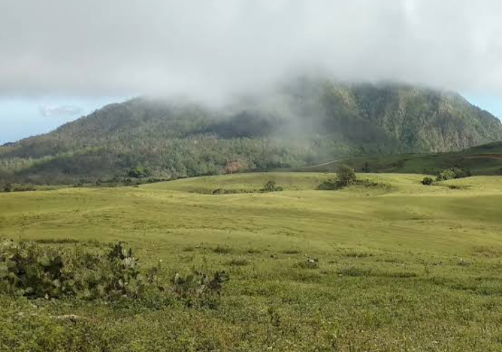 Menyusuri Savana Terindah di NTT: Afrika Kecil dari Timur Indonesia