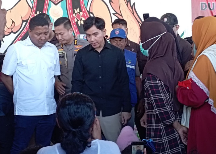 Wapres Gibran Tiba di Maumere, Tinjau Sejumlah Lokasi Terdampak Gempa Flores