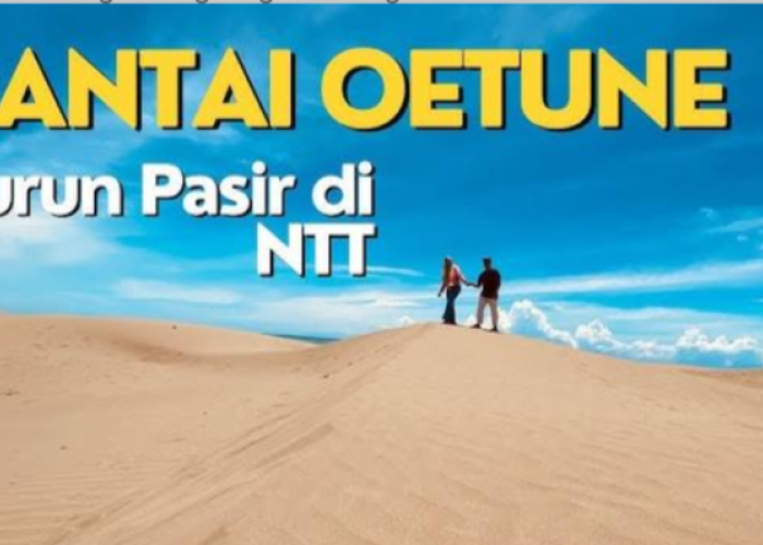 Padang Pasir di NTT ini Jadi Daya Tarik Wisata Eksotis di Indonesia