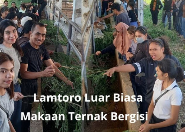 Laboratorium Peternakan Undana: Lumbung Ilmu dari Timur untuk Masa Depan Indonesia