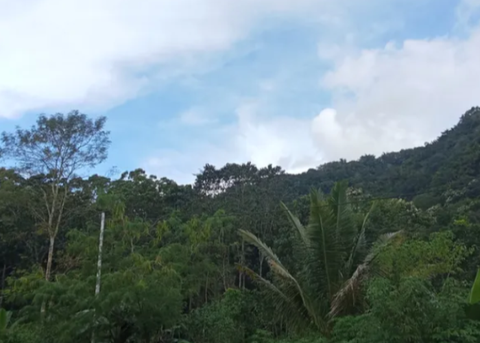 Cuaca Cerah Sepanjang Hari di NTT, Aktivitas Luar Ruangan Aman dan Nyaman