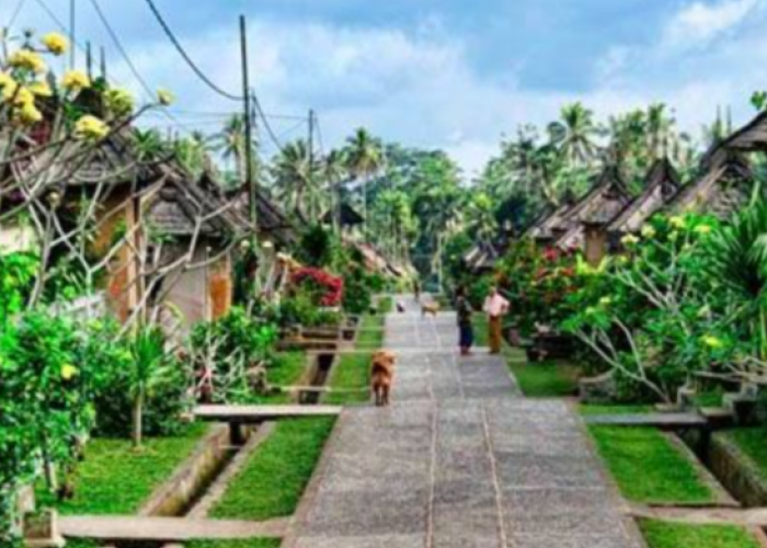 Menelusuri Keindahan Tersembunyi Desa Wisata Borani, NTT