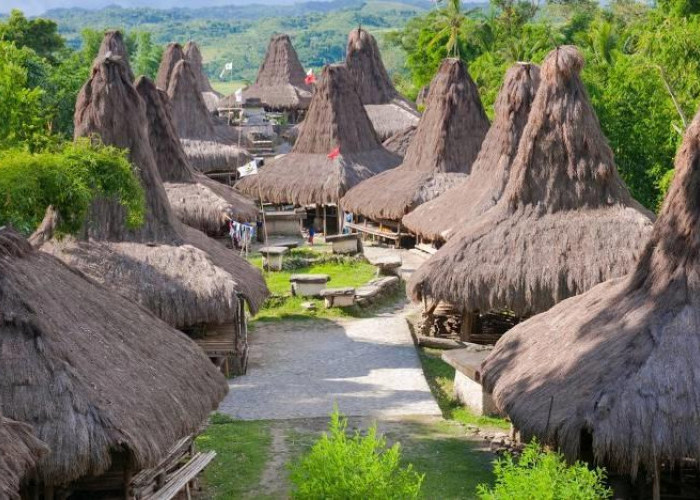 Mengenal Uma Mbatangu, Rumah Adat Sumba dengan Atap Menjulang ke Langit