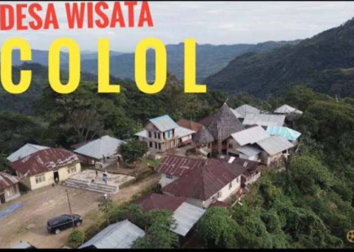 Menikmati Pesona Desa Wisata Colol: Surga Kopi di Timur Flores