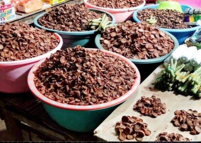 Provinsi NTT Kehilangan Rp1 Triliun per Tahun Beli Pinang dari Wilayah Lain di Indonesia