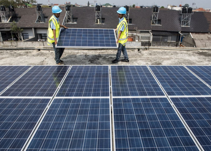 Potensi NTT jadi Sumber Energi Tenaga Surya Diungkap Langsung oleh Anggota DPR, Ini Penjelasannya 