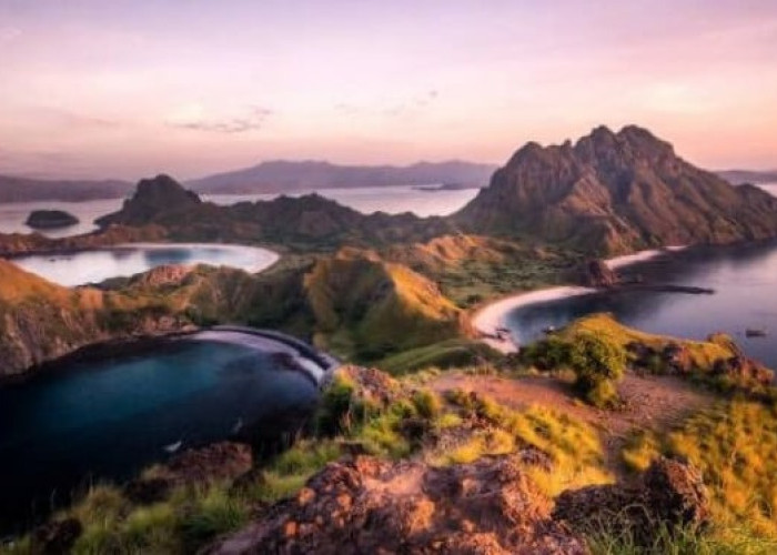 Profil PT KWE yang Dirumorkan Mau Bikin 600 Vila di Pulau Padar