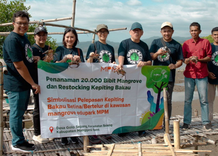 Budidaya Kepiting dan Mangrove, MPMX Dukung Pertumbuhan Ekonomi Pesisir NTT