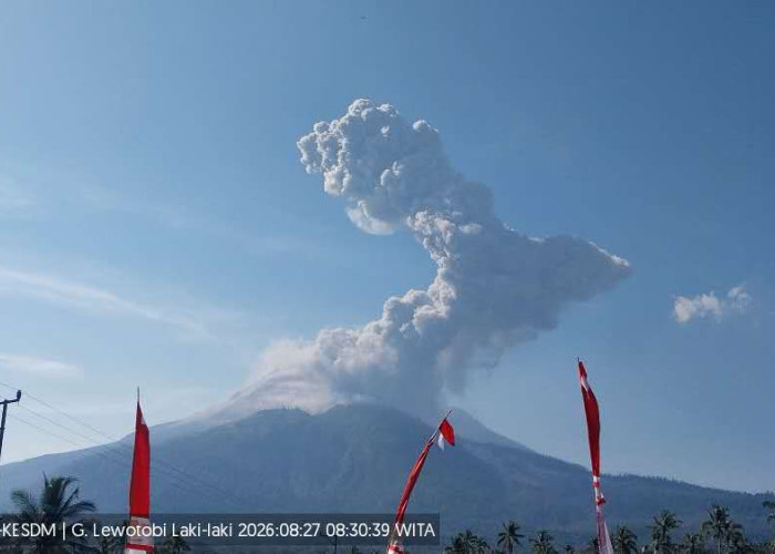 Gunung Lewotobi Laki-laki Kembali Erupsi, Kolom Abu Capai 2.500 Meter