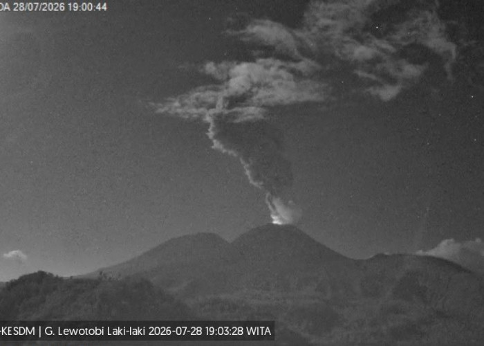 Gunung Lewotobi Laki-laki Kembali Erupsi pada 28 Juli 2026, PVMBG Catat Kolom Abu 1.000 Meter