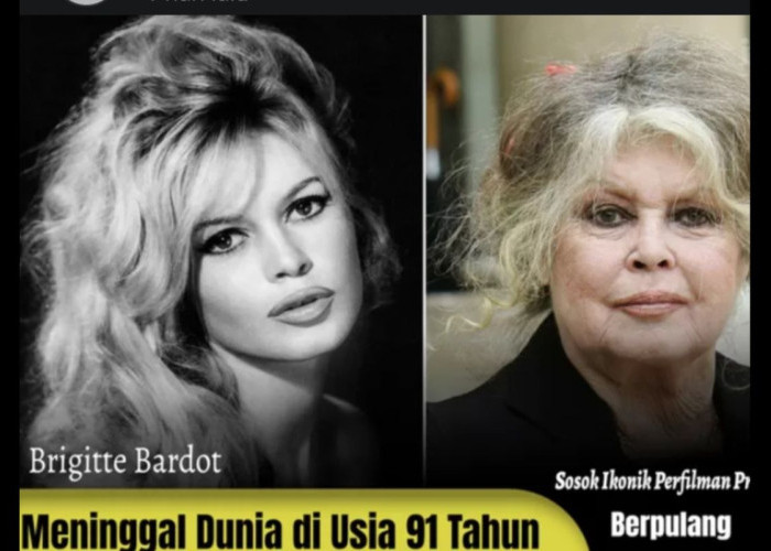 Brigitte Bardot Melekat di Benak Presiden Prancis dan Politikus Dunia