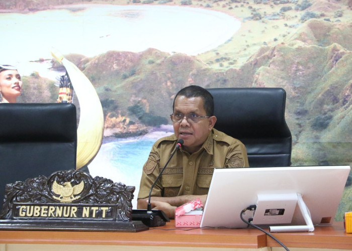 Gubernur NTT Sampaikan Terima Kasih untuk Semua Pihak yang Bantu Korban Gempa Flores