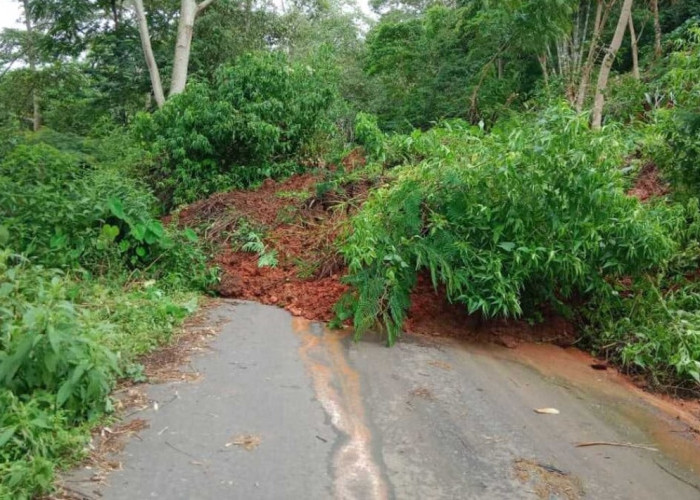 Jalan di Manggarai Timur ini tak Terurus dan Memperihatinkan, Tolong Perhatian Pemerintah
