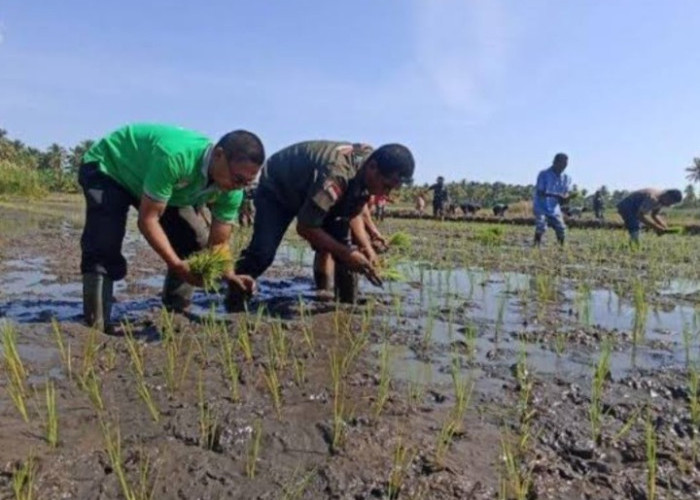 Dinas Pertanian Sikka Bangun Saluran Irigasi Dukung Swasembada Pangan