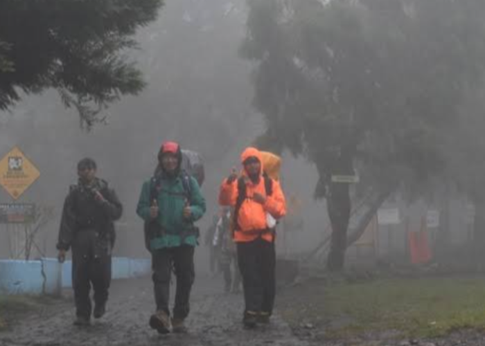 Ditemukan Selamat, Evakuasi 2 Pendaki di Mutis Timau NTT Terhalang Kabut