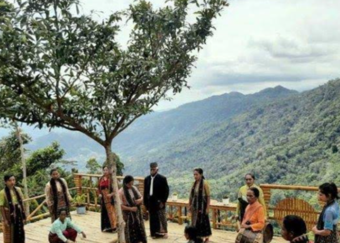 Menjelajah Pesona Bukit Porong, Permata Hijau dari Manggarai Barat