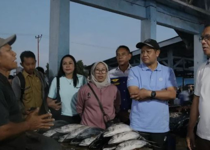 Gubernur NTT, Sidak Langsung ke Pasar Oeba Pantau Harga Ikan Tembang
