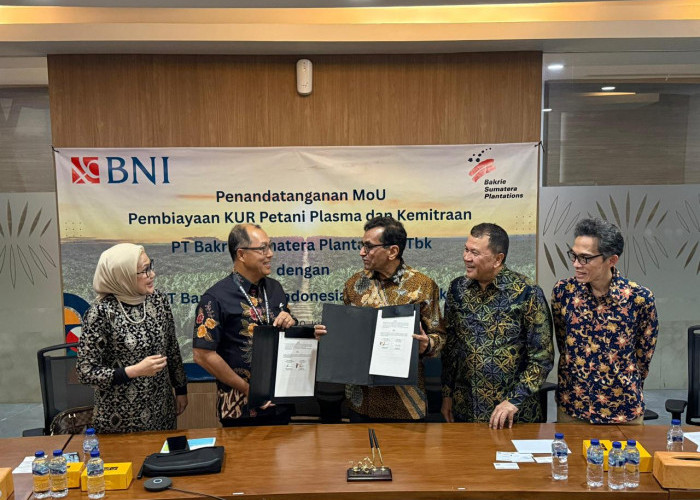 BNI Gandeng BSP Salurkan KUR untuk 13.400 Petani Plasma di Tiga Provinsi