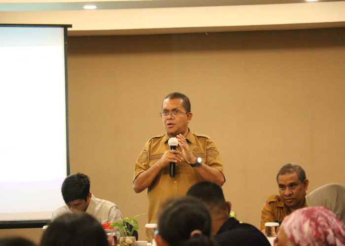 Gubernur NTT Dorong Roadmap Dekarbonisasi Ketenagalistrikan Menuju Net Zero Emission 2050