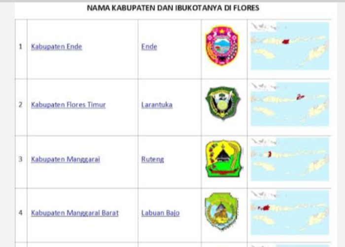 Selamat Tinggal Nusa Tenggara Timur! Kabupaten Paling Terkenal dan Indah Diusulkan Keluar Demi Provinsi Baru