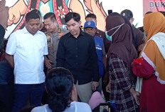 Wapres Gibran Tiba di Maumere, Tinjau Sejumlah Lokasi Terdampak Gempa Flores