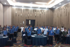 Sebulan Pascagempa M7,7 Flores, NTT Mulai Siapkan Pemulihan Tiga Tahun