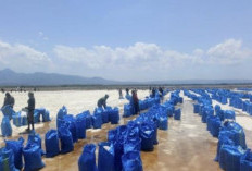 Tambak Garam NTT Bikin Petani Lokal Lega