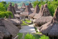 Mengenal Uma Mbatangu, Rumah Adat Sumba dengan Atap Menjulang ke Langit