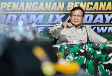 Presiden Prabowo Tiba di NTT, Tinjau Langsung Kondisi Warga Terdampak Gempa Flores
