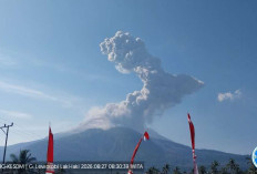 Gunung Lewotobi Laki-laki Kembali Erupsi, Kolom Abu Capai 2.500 Meter