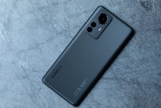 Cek Daftarnya, Xiaomi 12 hingga Poco X5 Kini Tak Lagi Dapat Pembaruan Software