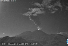 Gunung Lewotobi Laki-laki Kembali Erupsi pada 28 Juli 2026, PVMBG Catat Kolom Abu 1.000 Meter