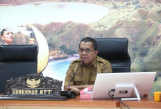Gubernur NTT Sampaikan Terima Kasih untuk Semua Pihak yang Bantu Korban Gempa Flores