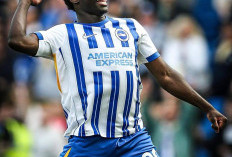 Carlos Baleba Sudah Sepakat dengan Manchester United, Kini Tinggal Negosiasi dengan Brighton