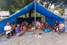 Kebijakan Gubernur Melki Bantu Warga Terdampak Gempa Flores Penuhi Kebutuhan Dasar