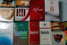 Peredaran Masif Rokok Ilegal di Lampung Ditindak dalam Skala Besar